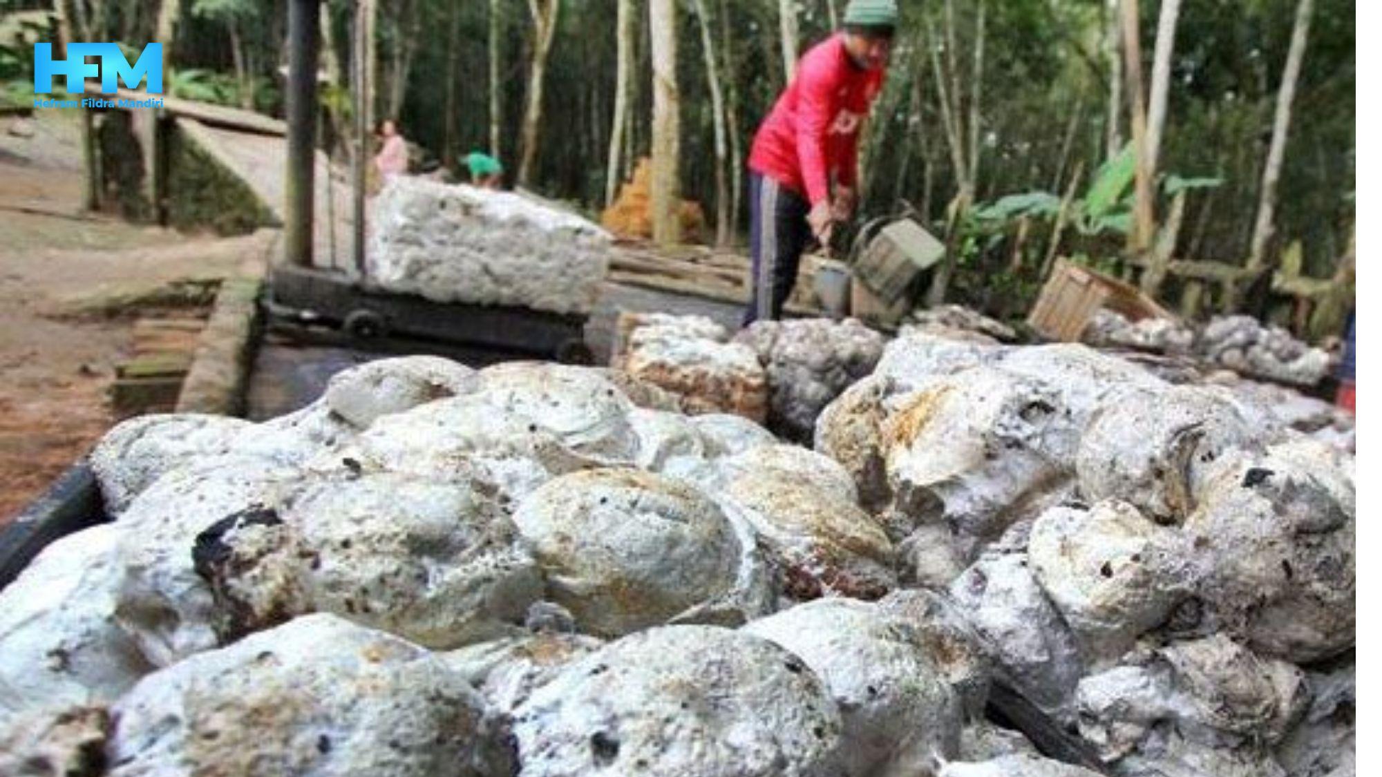 Pengolahan Limbah Pabrik Karet (3)-1.jpg