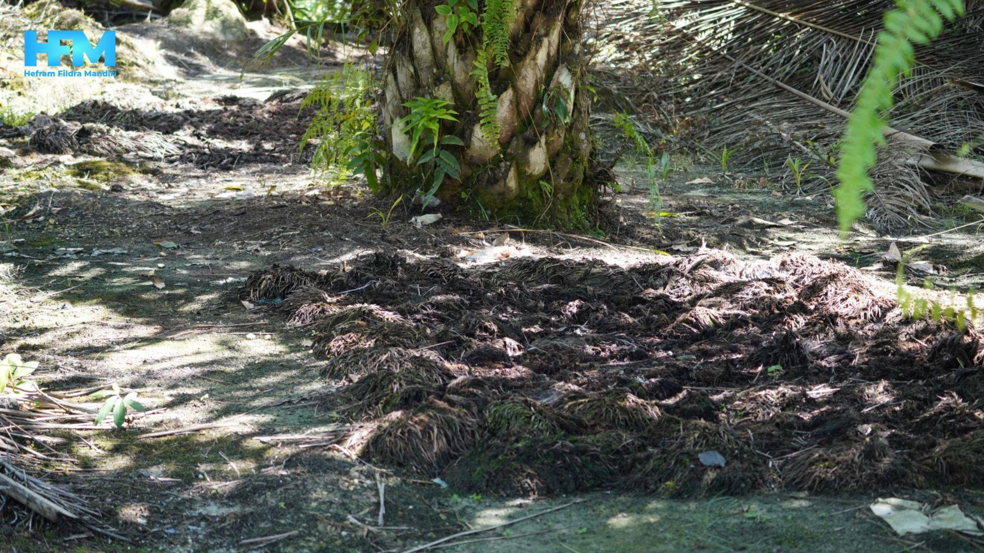 Pengolahan Limbah Perkebunan (2)-1.jpg