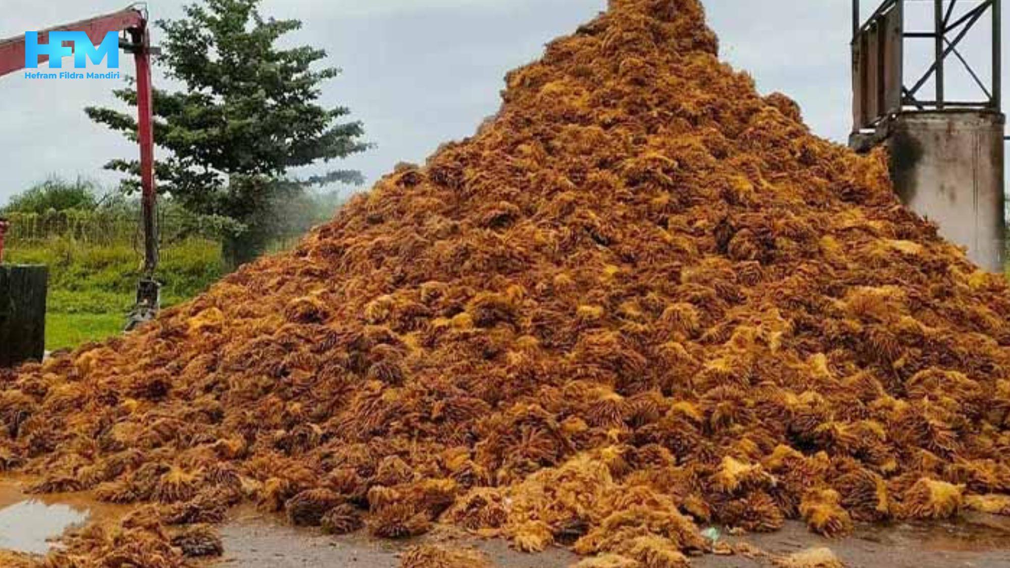 Pengolahan Limbah Perkebunan (3)-1.jpg